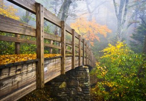 Autumn Appalachian Hiking Trail Foggy Nature Blue Ridge Fall Fol